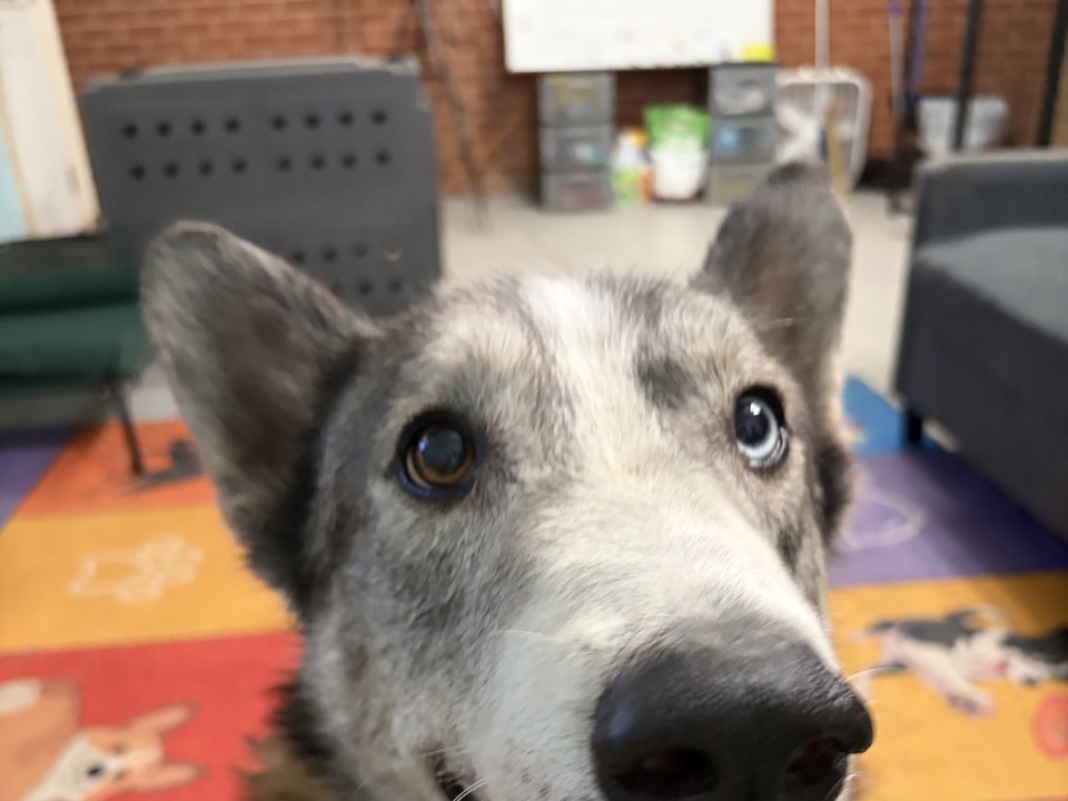 Astro