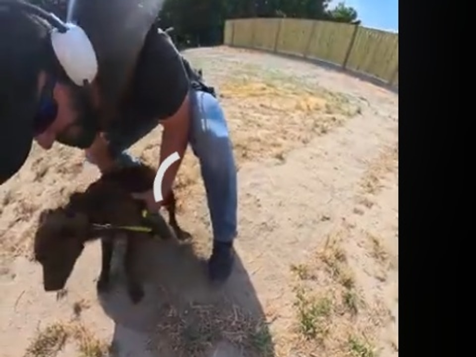 Jack